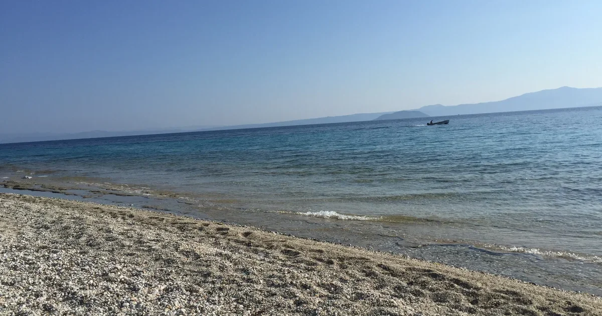 Φωτιά στη Χαλκιδική: Εκκενώσεις σε Σίβηρη και Φούρκα καθώς το μέτωπο πλησίασε σπίτια