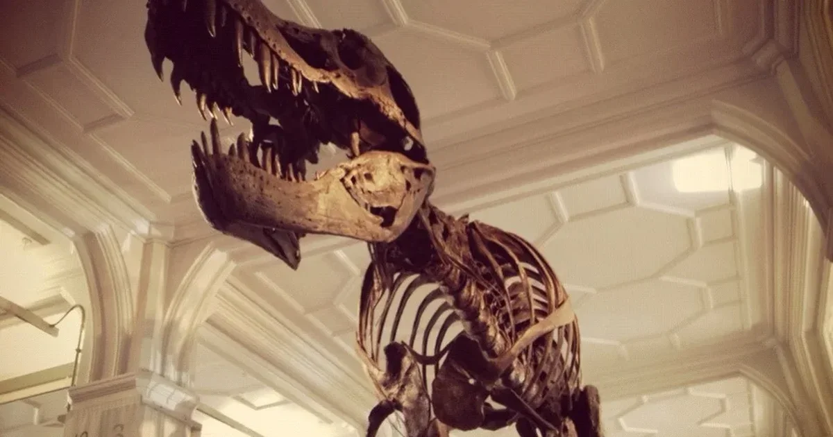 Ο T. rex είχε θερμοκρασία σώματος σχεδόν ίδια με του ανθρώπου
