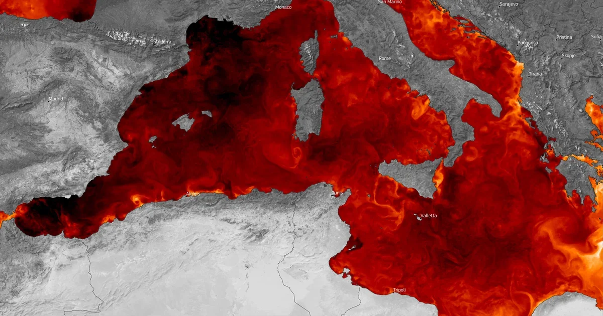 Οι μετρήσεις των θαλάσσιων καυσώνων ίσως κρύβουν μήνες επιπλέον θερμικής καταπόνησης